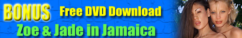 DVD Banner