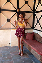 Next Photoset Sample